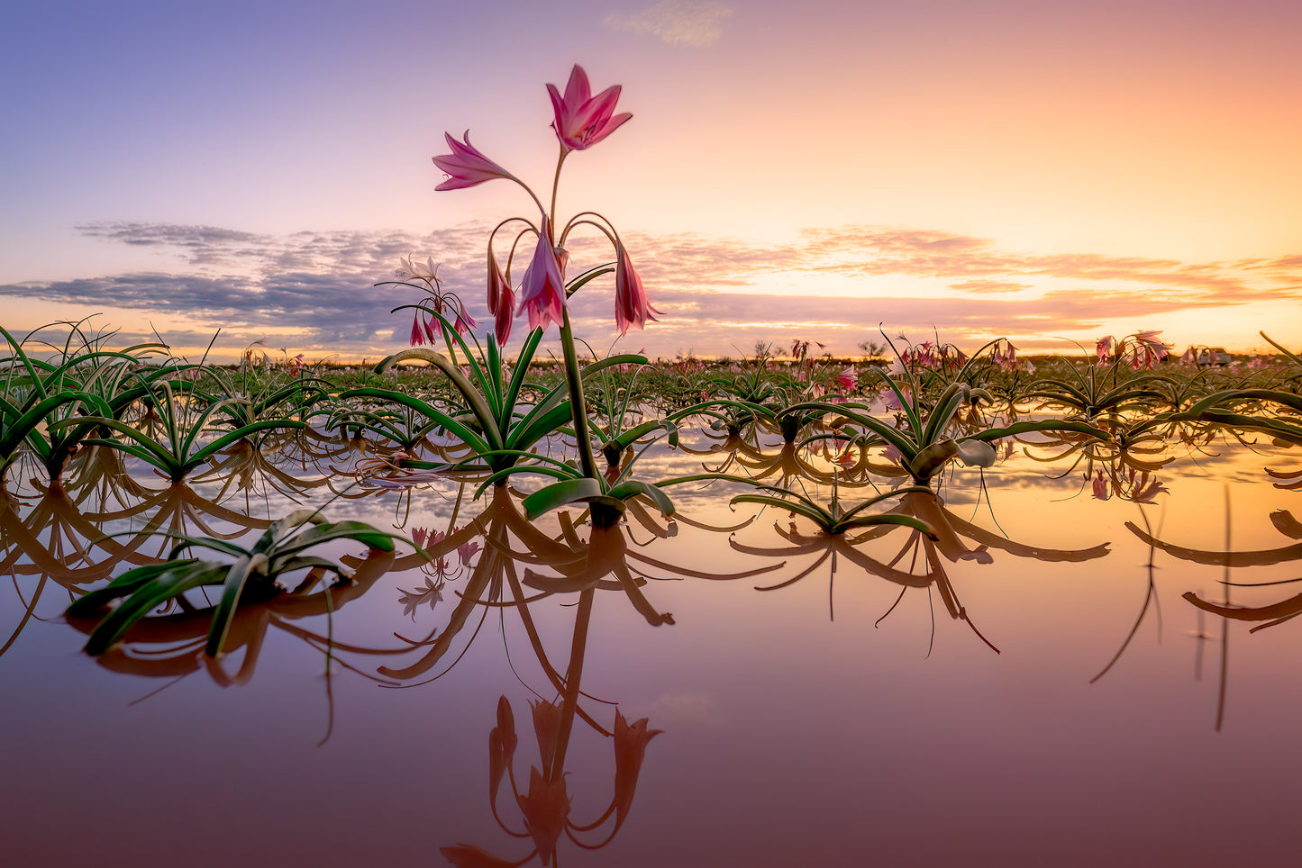 The Ultimate Landscape Photography Online Course 2025