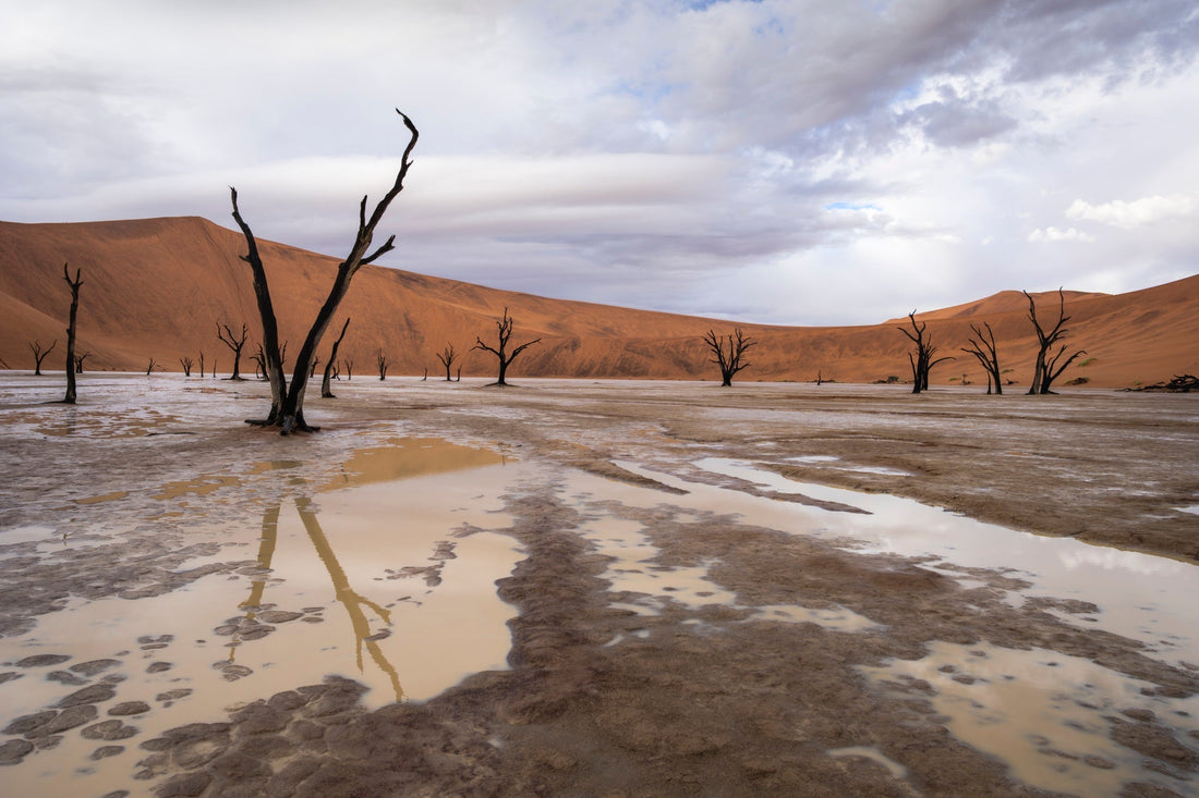 Rain in Deadvlei. A Once-in-a-Lifetime Sight... and a Photographer's Dilemma