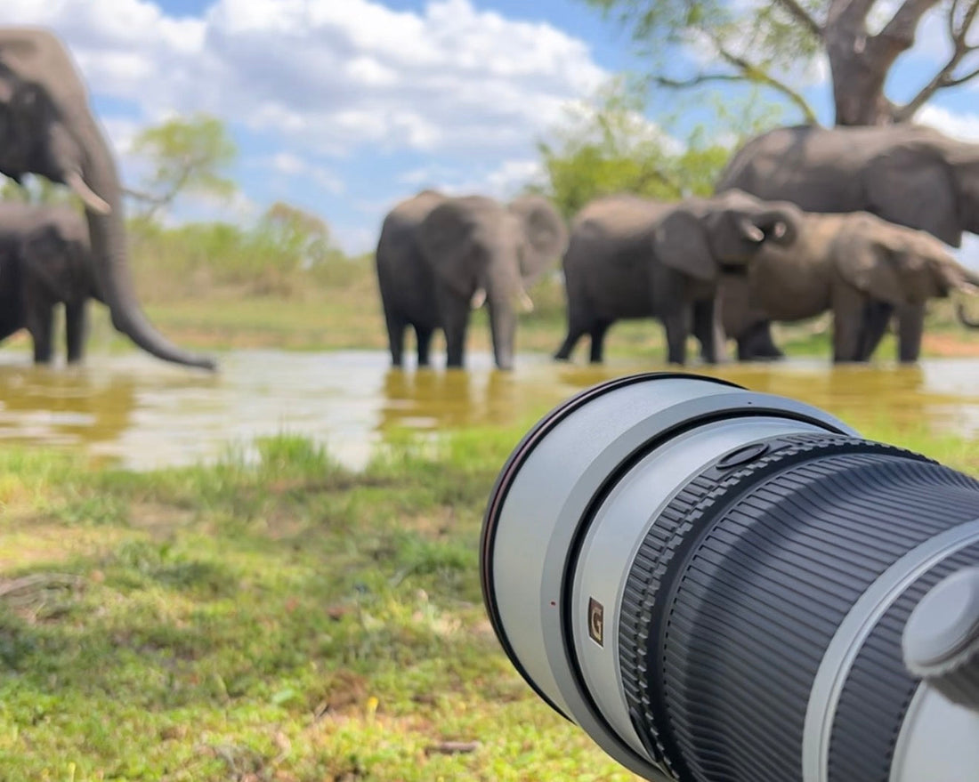 Sony 100-400mm f/4.5 GM Review: Over 20,000 Photos in the African Bush