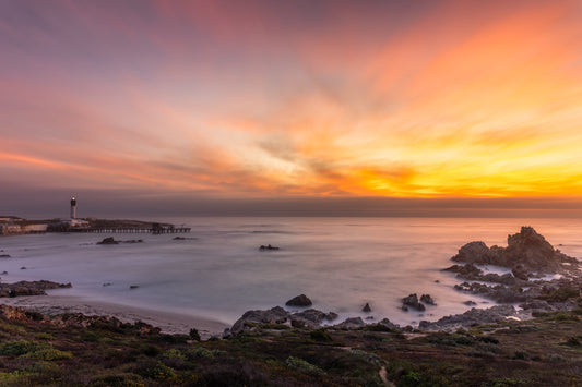 Photographing the West Coast: Coastlines, Wildflowers and Birdlife