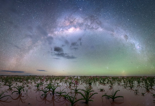 Namibia’s Secret Bloom