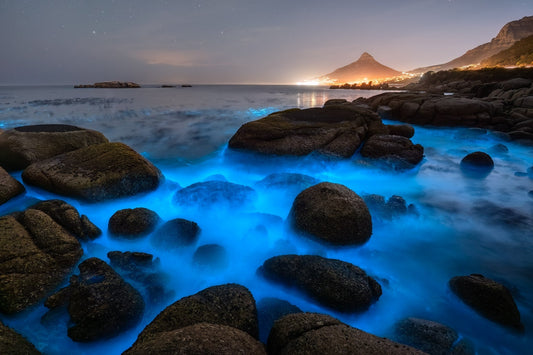 How to Photograph the Bioluminescence in Cape Town