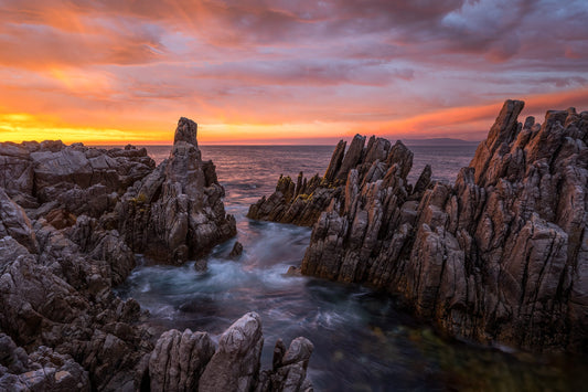 Why Patience Is the Most Underrated Skill in Nature Photography