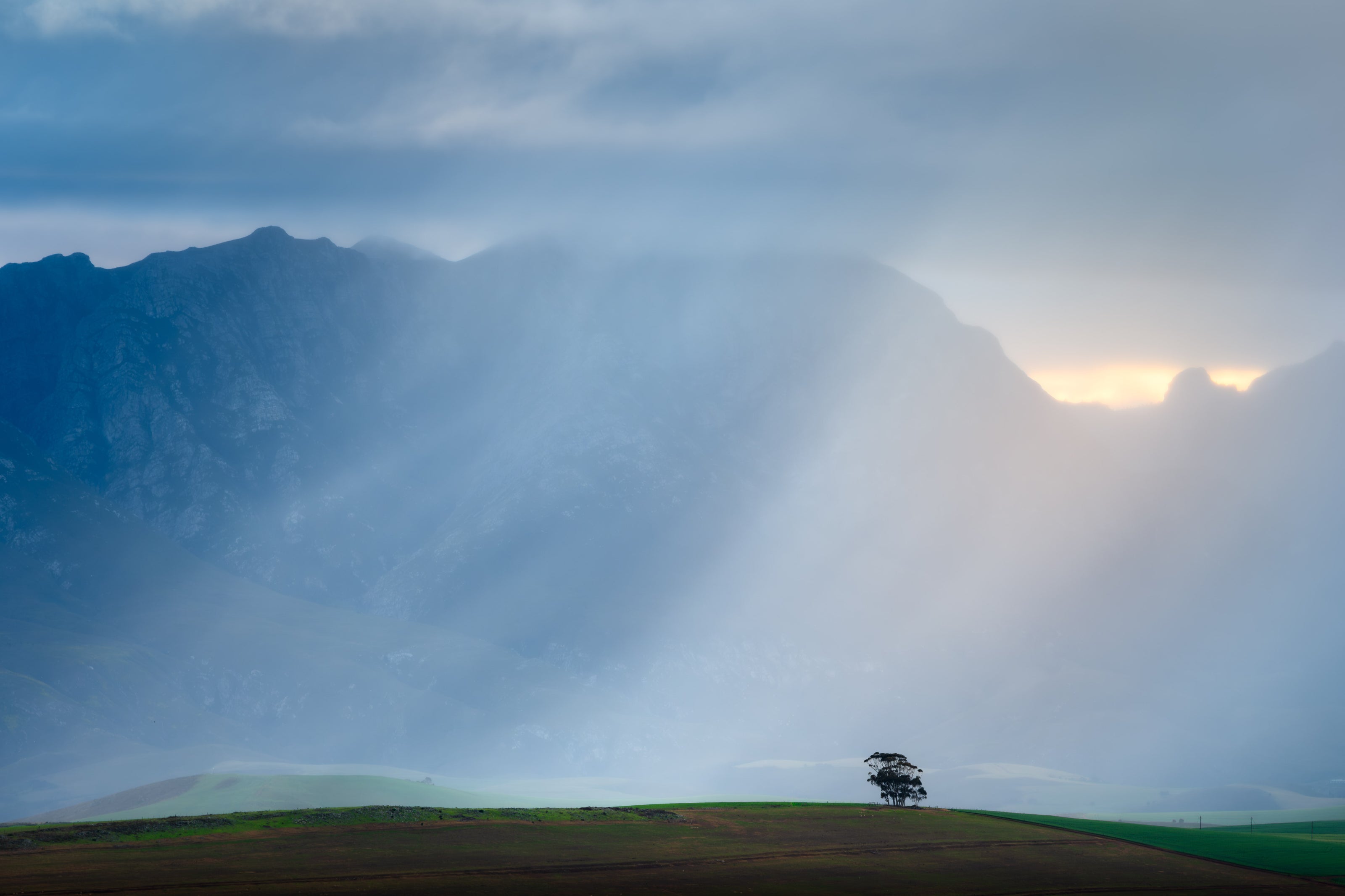 Sun rays piercing through clouds over a mountain range with a lone tree in the foreground.