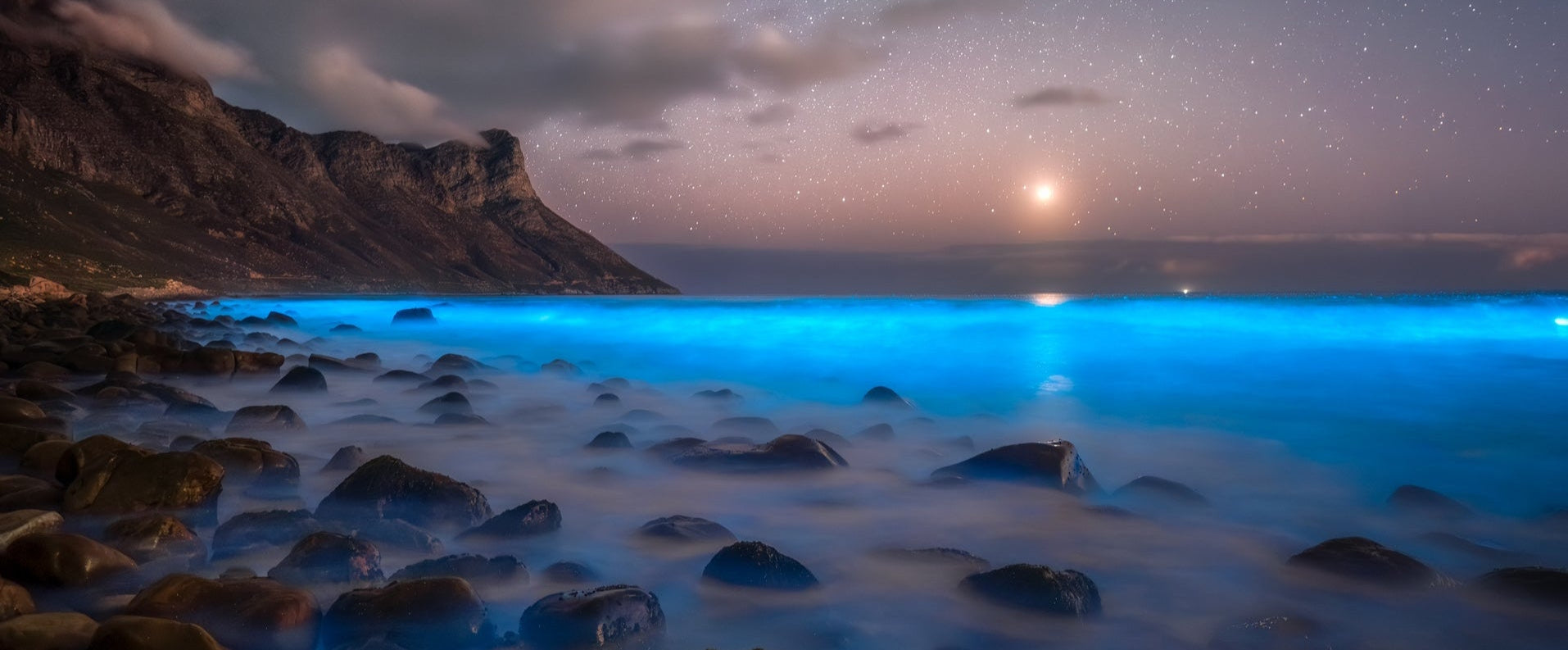 Starry night sky over a beach with glowing blue water and rocky shore.
