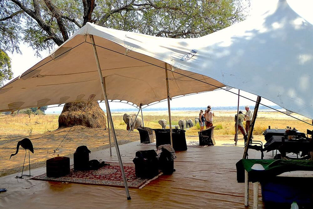 Tented camp setup in a natural outdoor setting with people and animals.